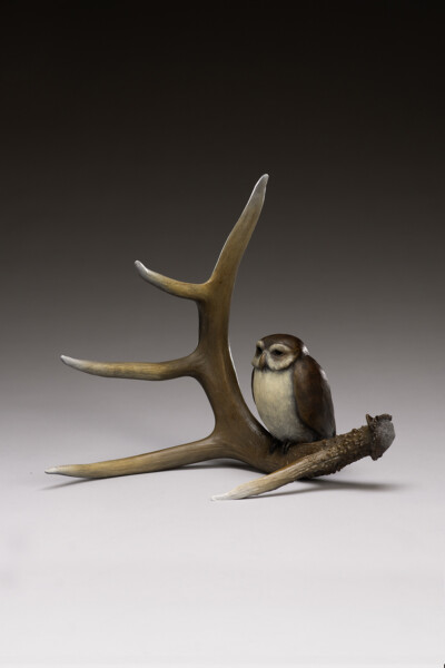 Deer Spirit and Little Owl